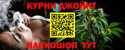 гашик Аргун