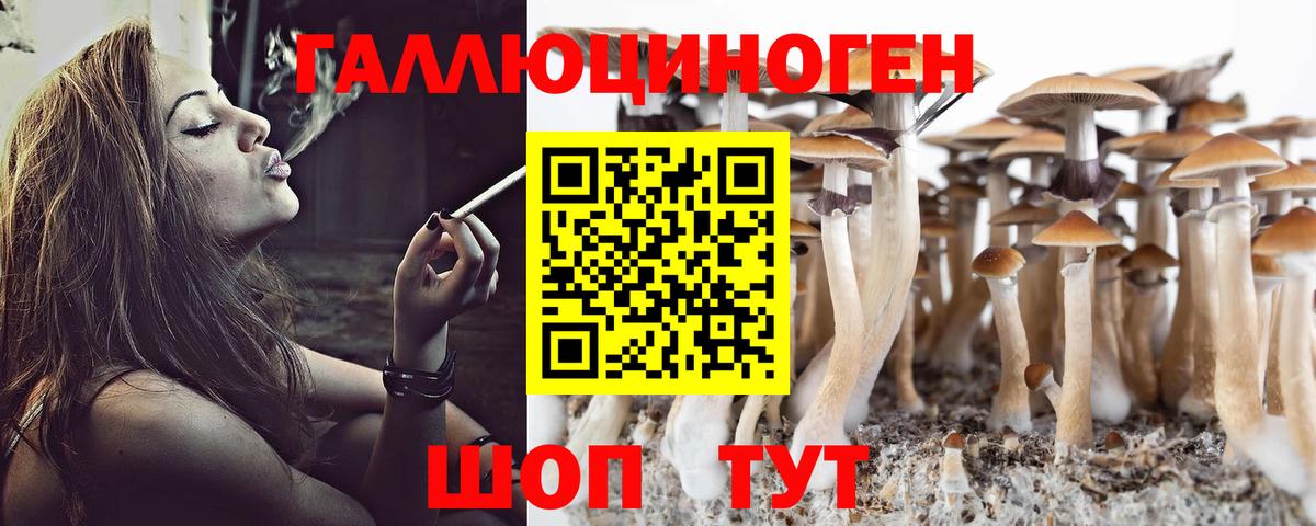 Псилоцибиновые грибы мицелий Борзя