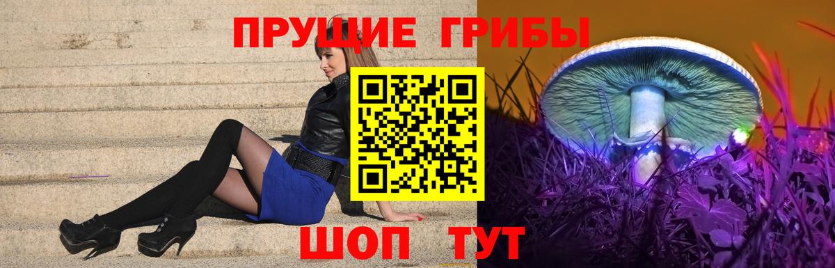 Борзя  Псилоцибиновые грибы ЛСД  Вход с VPN 